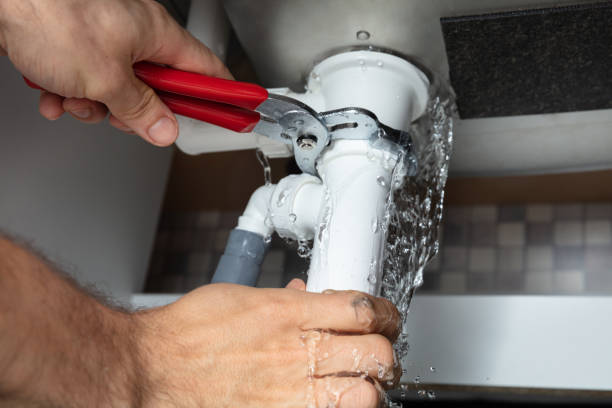 Best Professional water damage repair  in Fairport Harbor, OH