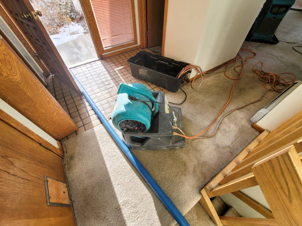 Best 24-hour water damage restoration  in Fairport Harbor, OH