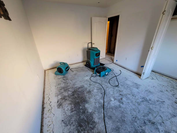 Best Water damage restoration process  in Fairport Harbor, OH