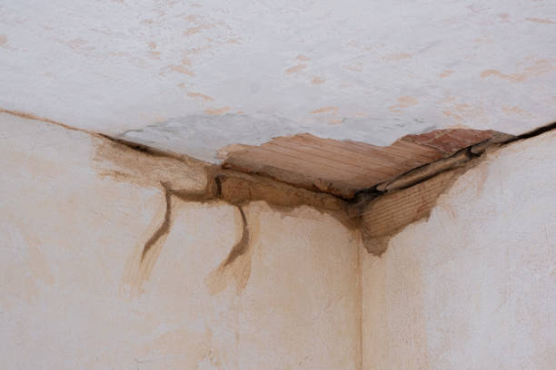 Best Sewage cleanup and water damage restoration  in Fairport Harbor, OH
