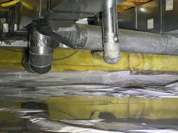 Best Local water damage restoration  in Fairport Harbor, OH