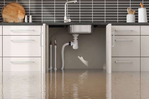 Best Emergency water damage restoration  in Fairport Harbor, OH