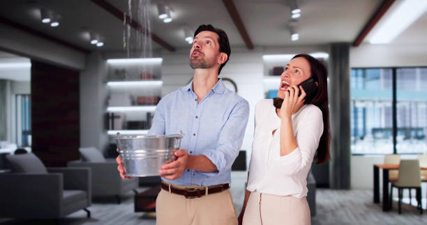 Best Flooded house restoration  in Fairport Harbor, OH