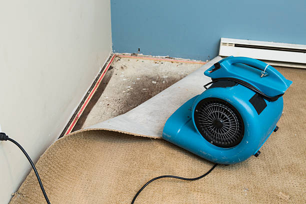 Best Water damage restoration cost  in Fairport Harbor, OH